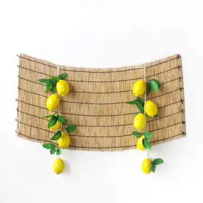 Holiday Traditional Photo Zone Background Lemon Set (Chuseok Event Decoration Autumn DIY Pet Birthday Photo Zone)