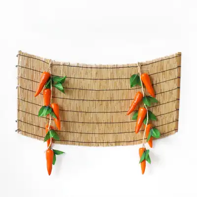 Traditional Holiday Photo Booth Background Carrot Set (Chuseok Event Decoration Autumn DIY Pet Birthday Photo Zone)