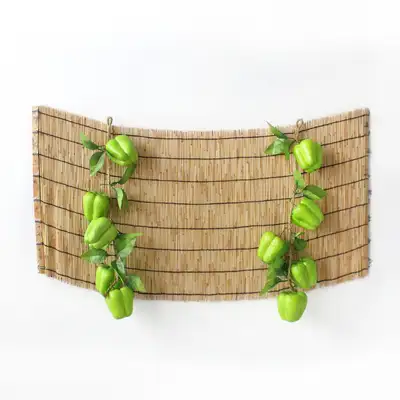 Traditional Holiday Photo Zone Background Paprika Green Set (Chuseok Event Decoration Autumn Craft Pet Birthday Photo Zone)