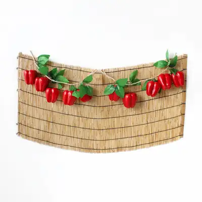 Holiday Traditional Photo Zone Backdrop Paprika Red Set (Chuseok Event Decoration Autumn DIY Pet Birthday Photo Zone)