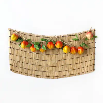 Traditional Holiday Photo Zone Background Pomegranate Set (Chuseok Event Decoration Autumn DIY Pet Birthday Photo Zone)