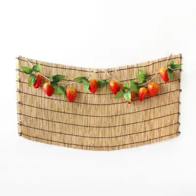 Traditional Holiday Photo Zone Background Strawberry Set (Chuseok Event Decoration Autumn DIY Pet Birthday Photo Zone)