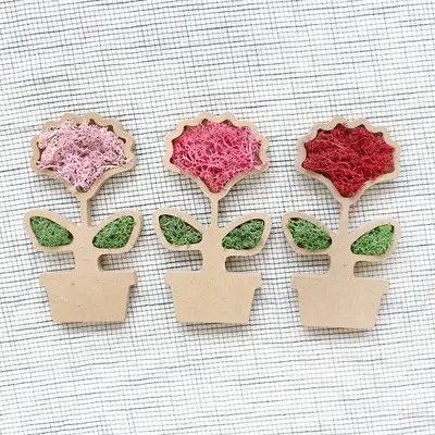 Carnation Moss Craft DIY Kit Set (Mother's Day, Teacher's Day, Family Month DIY Planter Moss Kit)