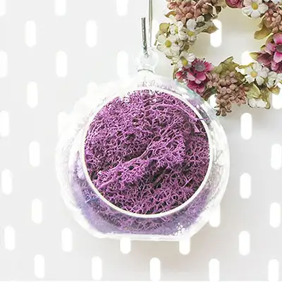 12cm Lilac Moss Hanging Ball Planter | Natural Moss Wall Decoration