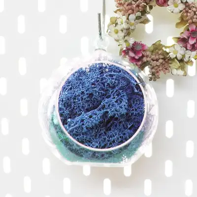 12cm Blue Moss Hanging Ball | Natural Moss Ceiling Decoration