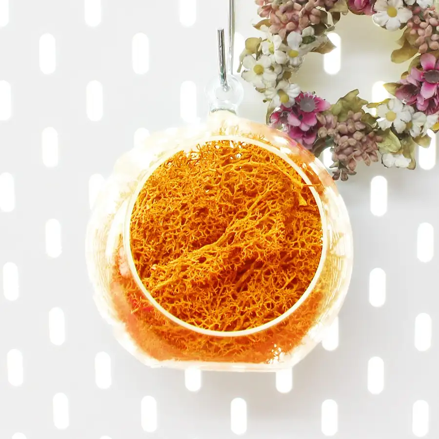 12cm Orange Moss Hanging Ball | Natural Moss Wall & Ceiling Decoration