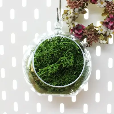 12cm Green Moss Hanging Ball Planter | Natural Moss Ceiling Decoration