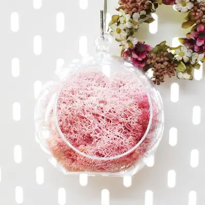 12cm Pink Moss Hanging Ball Planter | Natural Moss Ceiling Decoration