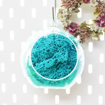 10cm Aqua Moss Hanging Ball (Transparent Decorative Sphere for Photo Zone Interior Terrarium Air Purification Natural Moss)