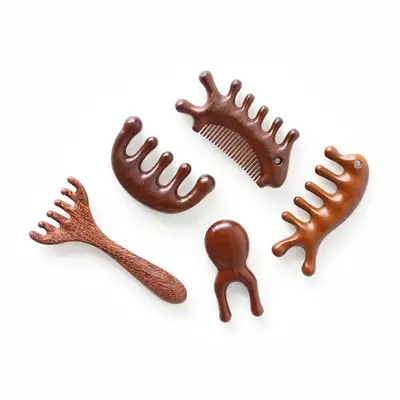 Wood Gua Sha Set | Natural Wood Massage Stick Health Gift Portable Meridian Gua Sha Comb