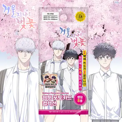 [Winter Passes, Cherry Blossoms] Webtoon Photocard Collection 8 Types (Random) | Cardtec