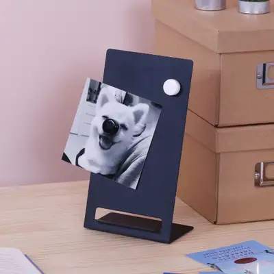 Color Magnetic Magnets
