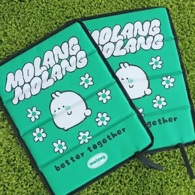 Molang Drawing Folding Cushion