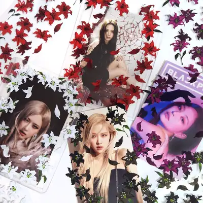 Yoli | Lily (10 Types)